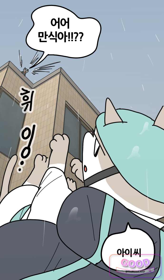 사회초년캣 40화 캣배달 1