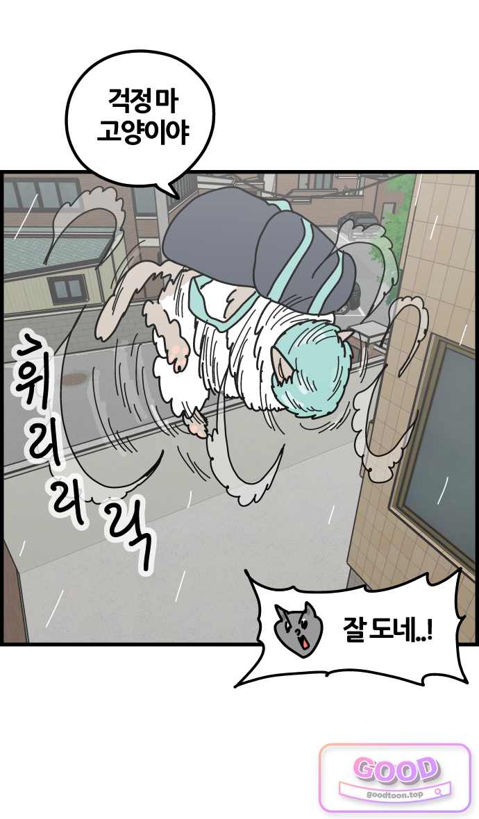 사회초년캣 40화 캣배달 2