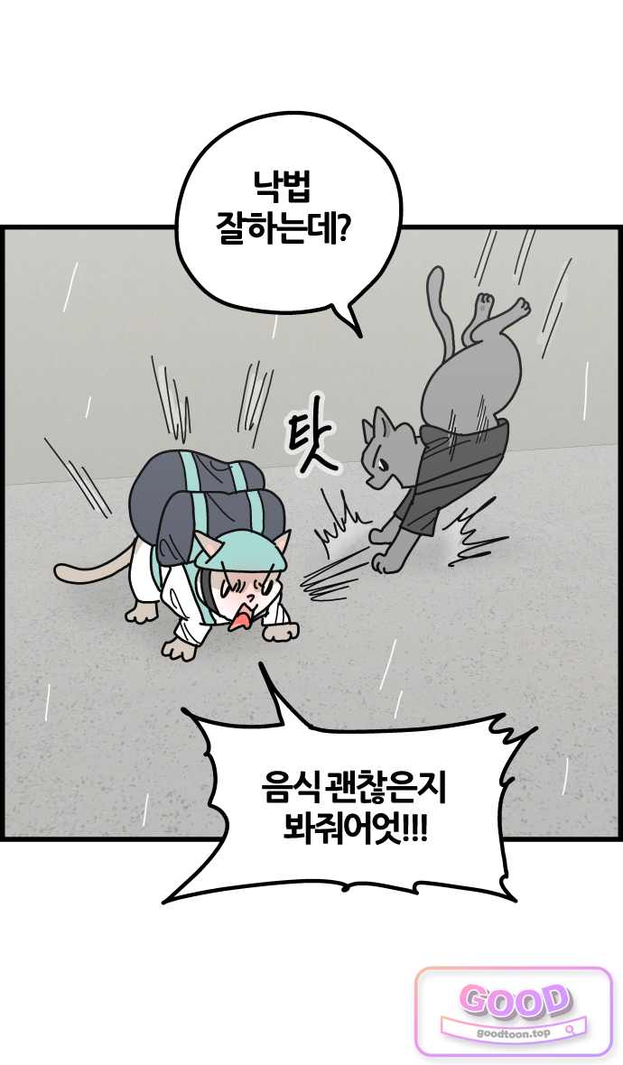 사회초년캣 40화 캣배달 4