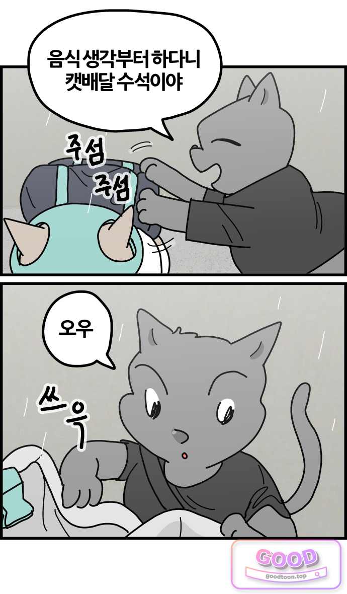 사회초년캣 40화 캣배달 5