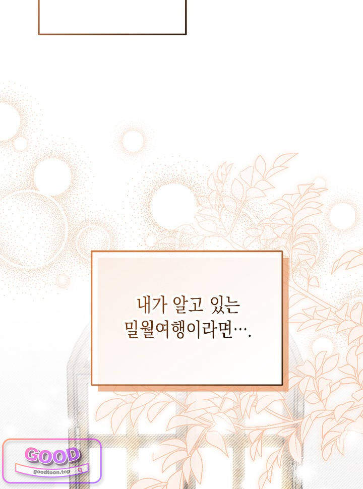 바이올렛 체로타의 졸속 결혼 11화 2