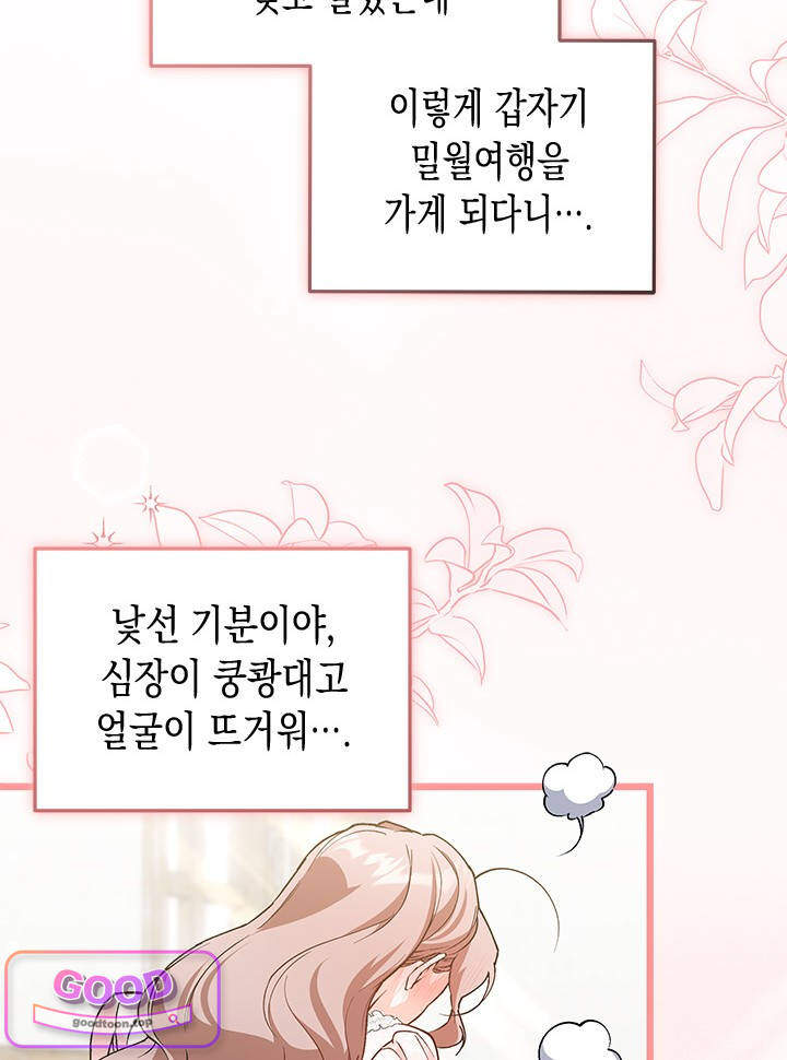 바이올렛 체로타의 졸속 결혼 11화 14