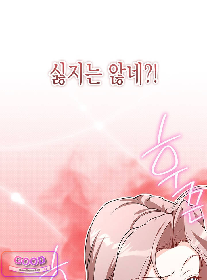 바이올렛 체로타의 졸속 결혼 11화 17