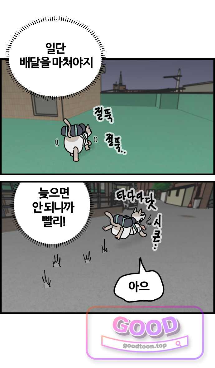 사회초년캣 42화 사고 2
