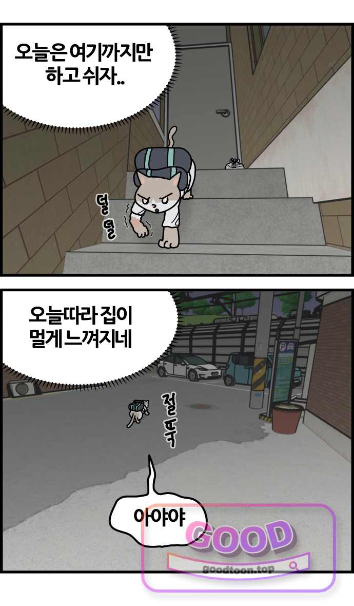 사회초년캣 42화 사고 4