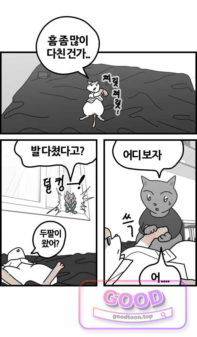 사회초년캣 42화 사고 5
