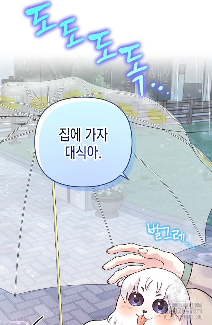나의 수컷 강아지 16화 16