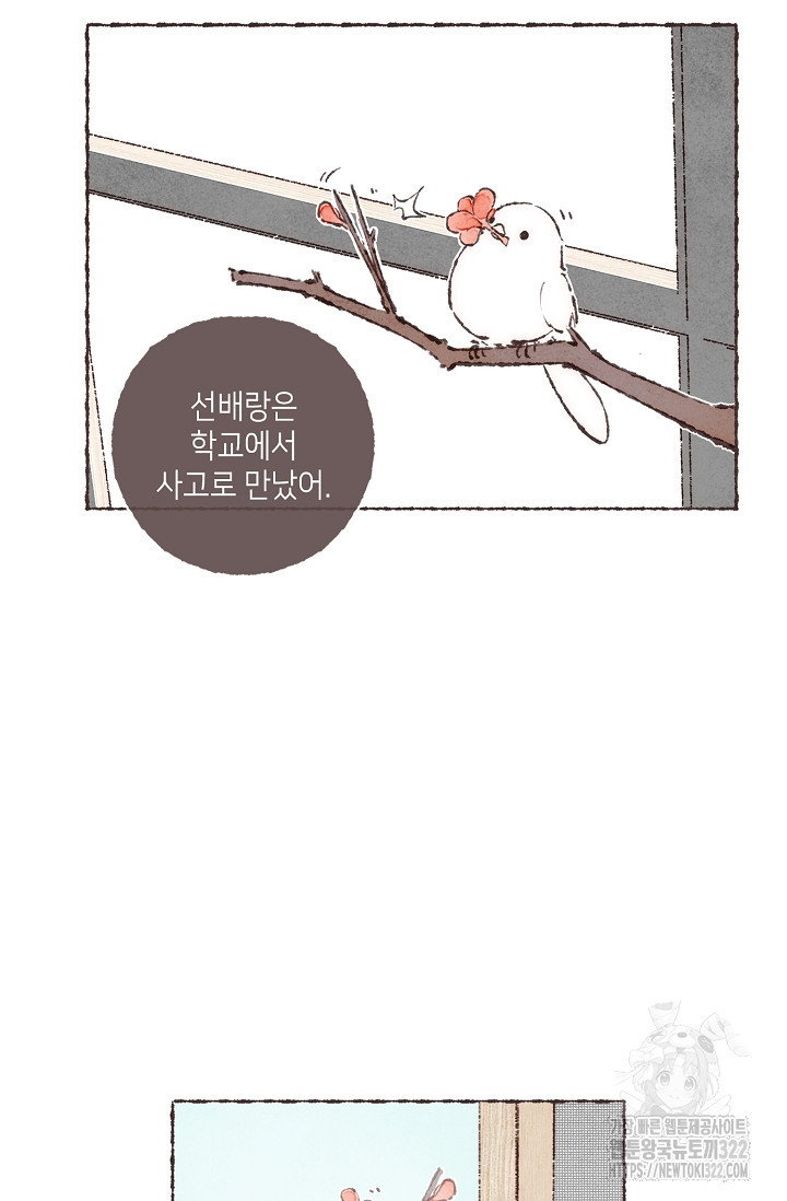 러브 인 체스 10화 4