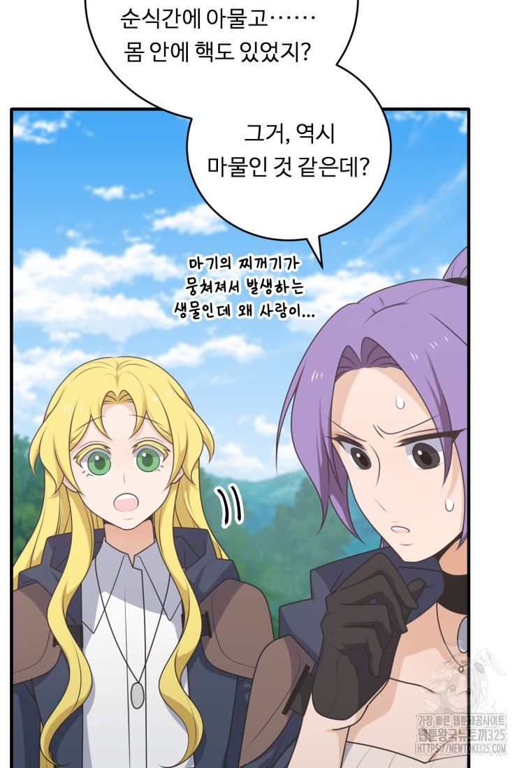 정령왕 엘퀴네스 275화 19