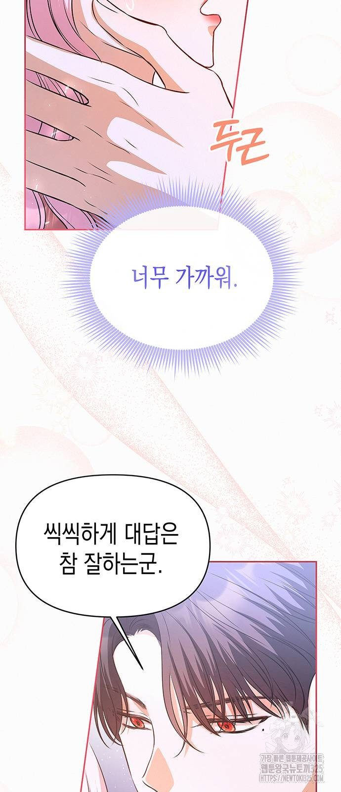 아무래도 결혼을 잘못한 것 같다 25화 26