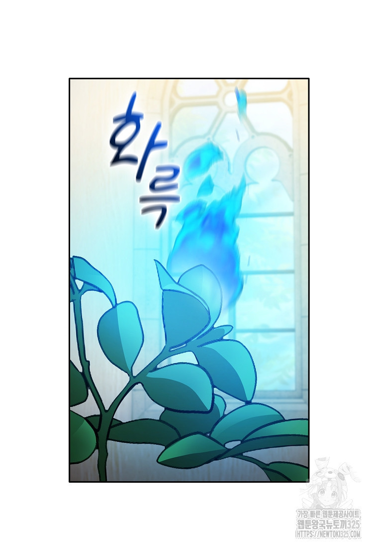 마법학교 마법사로 살아가는 법 81화 15