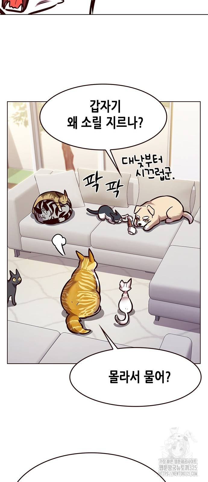 일렉시드 285화 5