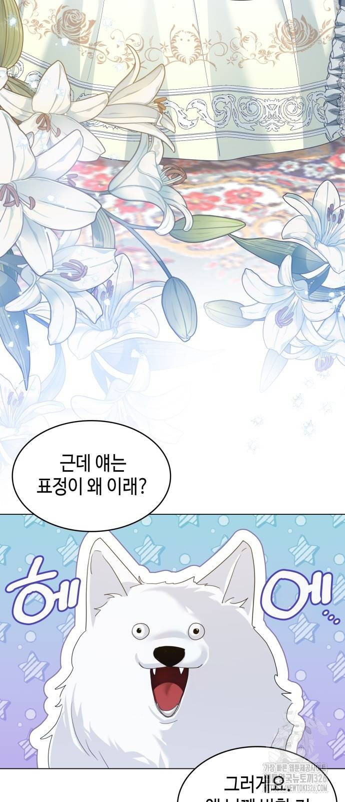 사악한 공작 영애의 우울 7화 7