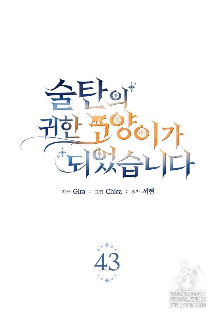 술탄의 귀한 고양이가 되었습니다 43화 3